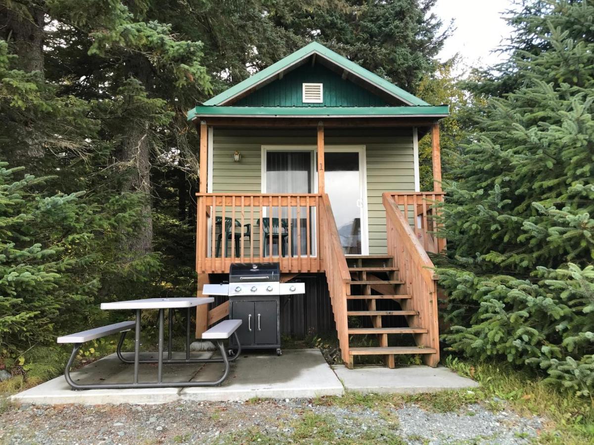 Cabin 3 Lynn View Lodge Хейнс Экстерьер фото