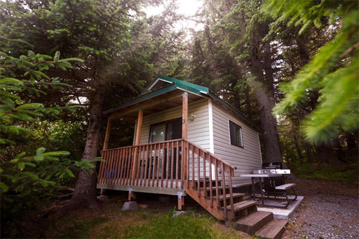 Cabin 3 Lynn View Lodge Хейнс Экстерьер фото